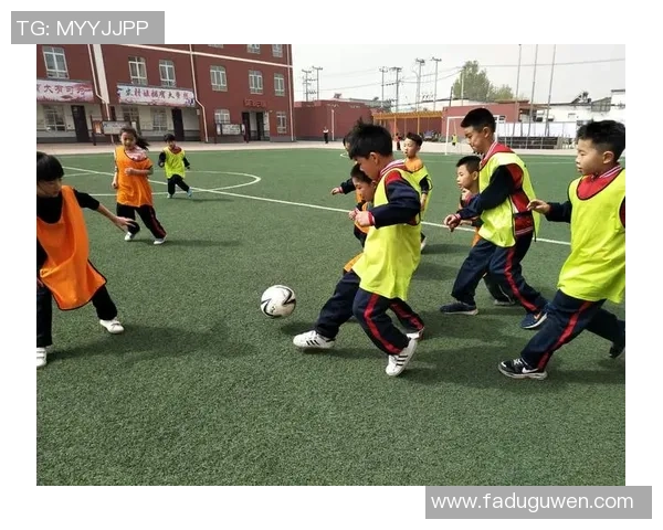 李时珍足球:探索中医药与现代足球的完美结合与健康理念